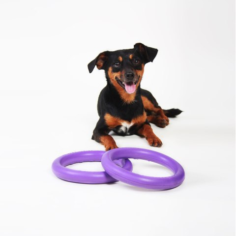 PULLER MINI Ring dla psa 2szt. 19cm PULLER MINI Ring dla psa 2szt. 19cm
