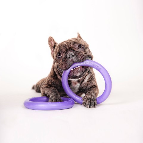 PULLER MINI Ring dla psa 2szt. 19cm PULLER MINI Ring dla psa 2szt. 19cm