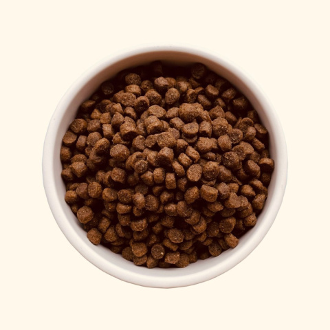 TEDS Insect Small - karma z owadów dla psów małych ras 800g TEDS Insect Small - karma z owadów dla psów małych ras 800g