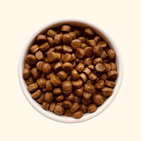 TEDS Insect - karma z owadów dla psów średnich i dużych ras 800g TEDS Insect - karma z owadów dla psów średnich i dużych ras 800g