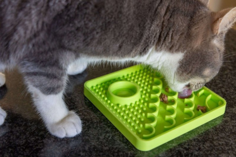Mata LickiMat CATSTER dla kota zielona Mata LickiMat CATSTER dla kota zielona