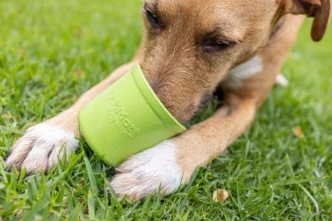 LICKIMAT Yoggie Pot zielony LICKIMAT Yoggie Pot zielony