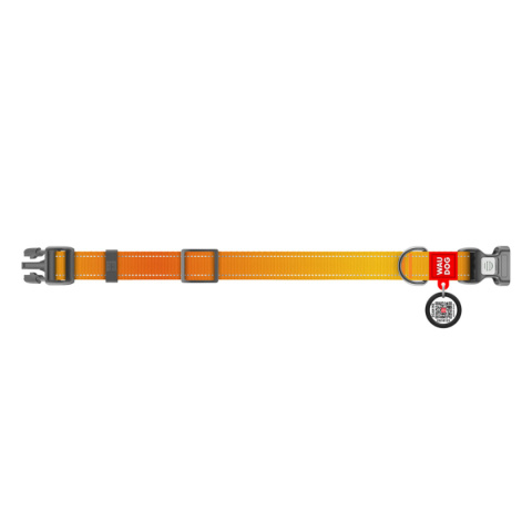 WAUDOG Obroża dla psa Nylon Mono L 33-49 cm Pomarańczowy WAUDOG Obroża dla psa Nylon Mono L 33-49 cm Pomarańczowy