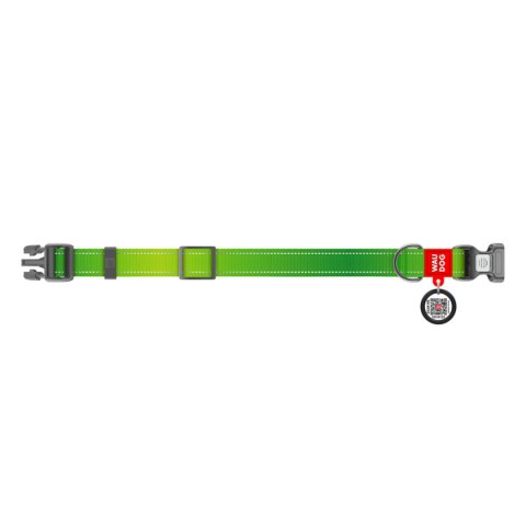 WAUDOG Obroża dla psa Nylon Mono L 33-49 cm Zielony WAUDOG Obroża dla psa Nylon Mono L 33-49 cm Zielony