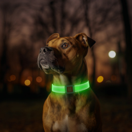 WAUDOG Obroża dla psa z podświetleniem LED , klamra magnetyczna dł. 30-35 cm