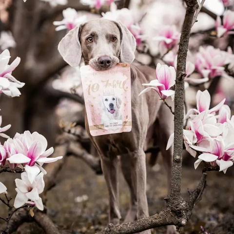 DOG'S LOVE BIO Chips - ekologiczne przysmaki dla psów - jubileuszowa edycja limitowana 150g DOG'S LOVE BIO Chips - ekologiczne przysmaki dla psów - jubileuszowa edycja limitowana 150g