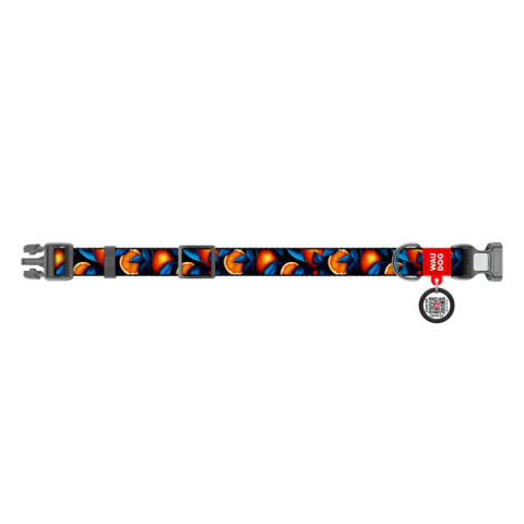 WAUDOG Obroża dla psa Nylon S 25-35/1,5 cm POMARAŃCZE WAUDOG Obroża dla psa Nylon S 25-35/1,5 cm POMARAŃCZE