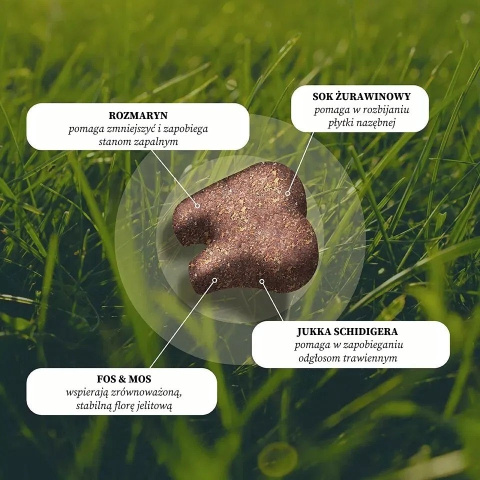DOG'S LOVE VITAL+ Smile Dental - zdrowe zęby i świeży oddech przysmaki funkcjonalne dla psa 150g DOG'S LOVE VITAL+ Smile Dental - zdrowe zęby i świeży oddech przysmaki funkcjonalne dla psa 150g