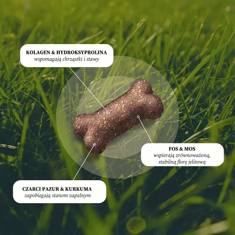 DOG'S LOVE VITAL+ Move Mobility - mocne stawy przysmaki funkcjonalne dla psa 150g DOG'S LOVE VITAL+ Move Mobility - mocne stawy przysmaki funkcjonalne dla psa 150g