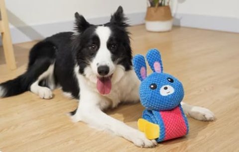 PetGang KRÓLIK zabawka dla psa na smaczki DŁUGI pluszowy 70cm PetGang KRÓLIK zabawka dla psa na smaczki DŁUGI pluszowy 70cm