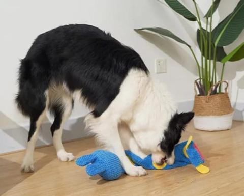 PetGang KRÓLIK zabawka dla psa na smaczki DŁUGI pluszowy 70cm PetGang KRÓLIK zabawka dla psa na smaczki DŁUGI pluszowy 70cm