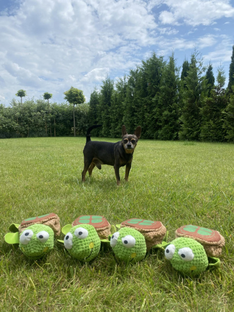 PetGang ŻÓŁW zabawka dla psa na smaczki DŁUGI pluszowy 64cm PetGang ŻÓŁW zabawka dla psa na smaczki DŁUGI pluszowy 64cm
