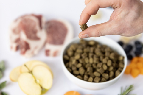 YDOLO Iberico - wieprzowina Iberico - karma półwilgotna dla psa 100g YDOLO Iberico - wieprzowina Iberico - karma półwilgotna dla psa 100g