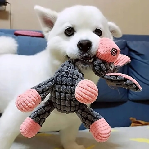 PetGang WESOŁY OSIOŁ piszczy pluszowa 22cm zabawka dla psa PetGang WESOŁY OSIOŁ piszczy pluszowa 22cm zabawka dla psa