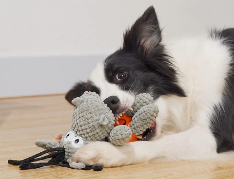 PetGang OSIOŁ z piłką na przysmaki 22cm pluszowa zabawka dla psa PetGang OSIOŁ z piłką na przysmaki 22cm pluszowa zabawka dla psa