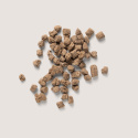 Nutri WILD Pełnoporcjowa karma sucha Dzik z jabłkiem SUSZONA 5kg