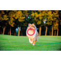 Ring dla małego psa Puller PitchDog 17' różowy