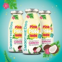 Smoothie Dog Pina Paw Lada - królik z warzywami i owocami dla psa 250ml