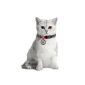 WAUDOG Nylon Obroża dla kota z zawieszką QR 20-30 cm POMARAŃCZE