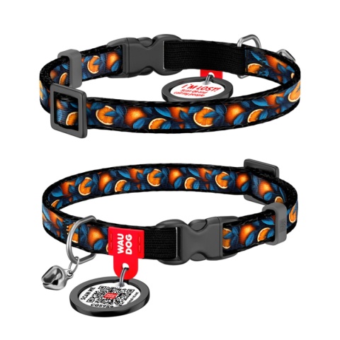 WAUDOG Nylon Obroża dla kota z zawieszką QR 20-30 cm POMARAŃCZE WAUDOG Nylon Obroża dla kota z zawieszką QR 20-30 cm POMARAŃCZE