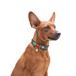 WAUDOG Obroża dla psa Nylon L 33-49/2,5 cm Buźka na Niebiesko