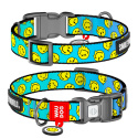 WAUDOG Obroża dla psa Nylon XL 37-58/2,5 cm Buźka na Niebiesko