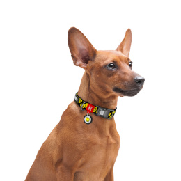 WAUDOG Obroża dla psa Nylon L 33-49/2,5 cm Buźka na Czarno
