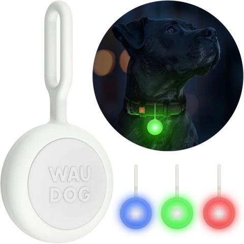WAUDOG ZAWIESZKA LED dla psa w świecącej silikonowej obudowie, USB, średnica 37 mm