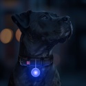 WAUDOG ZAWIESZKA LED dla psa w świecącej silikonowej obudowie, USB, średnica 37 mm