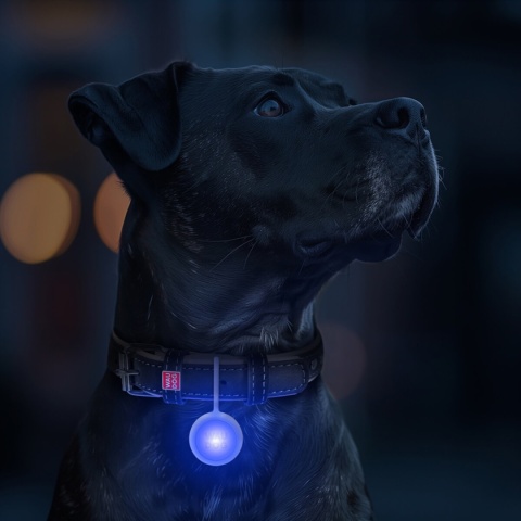 WAUDOG ZAWIESZKA LED dla psa w świecącej silikonowej obudowie, USB, średnica 37 mm WAUDOG ZAWIESZKA LED dla psa w świecącej silikonowej obudowie, USB, średnica 37 mm