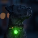 WAUDOG ZAWIESZKA LED dla psa w świecącej silikonowej obudowie, USB, średnica 37 mm