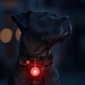 WAUDOG ZAWIESZKA LED dla psa w świecącej silikonowej obudowie, USB, średnica 37 mm
