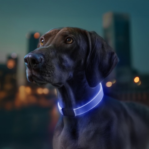 WAUDOG Obroża z podświetleniem LED dla psa, RGB, USB-C regulowana, do 60 cm WAUDOG Obroża z podświetleniem LED dla psa, RGB, USB-C regulowana, do 60 cm