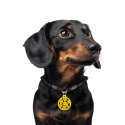 WAUDOG Zawieszka z identyfikatotem QR GPS metalowa Buźka na czarno 25mm