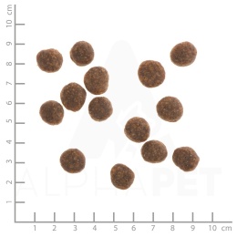 WILDES LAND DOG Ente - kaczka z ziemniakami i ziołami 1kg