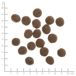 WILDES LAND DOG Forelle Lachs- pstrąg i łosoś z ziemniakami i ziołami 1kg