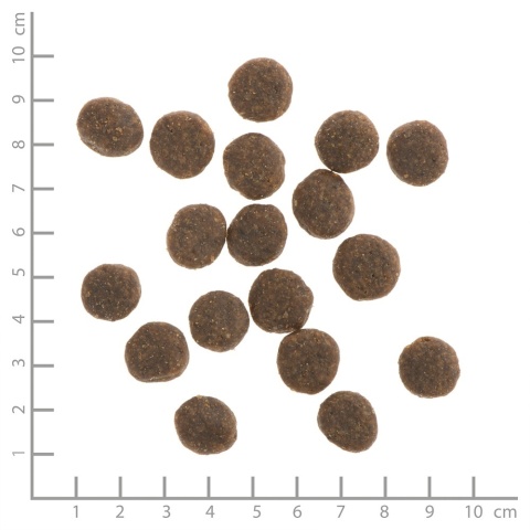 WILDES LAND DOG Forelle Lachs- pstrąg i łosoś z ziemniakami i ziołami 1kg WILDES LAND DOG Forelle Lachs- pstrąg i łosoś z ziemniakami i ziołami 1kg