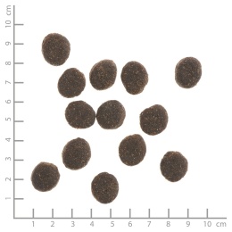 WILDES LAND DOG Kaninchen - królik z ziemniakami i ziołami 12kg