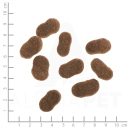 WILDES LAND DOG Lamm Lachs - jagnięcina i łosoś z ziemniakami i ziołami 1kg