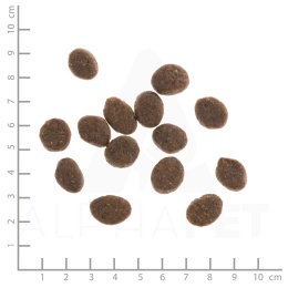 WILDES LAND DOG Lamm - jagnięcina z ryżem i ziołami 1kg