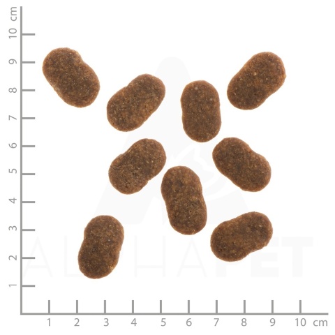 WILDES LAND DOG Rind - wołowina z ziemniakami i ziołami 12kg WILDES LAND DOG Rind - wołowina z ziemniakami i ziołami 12kg