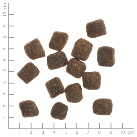 WILDES LAND DOG Soft Lamm - jagnięcina - półwilgotna karma dla psa 1,5kg WILDES LAND DOG Soft Lamm - jagnięcina - półwilgotna karma dla psa 1,5kg