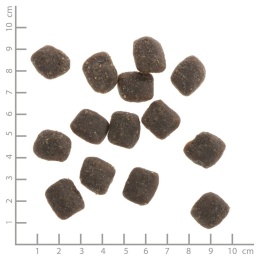 WILDES LAND DOG Soft Rind - wołowina - półwilgotna karma dla psa 1,5kg