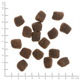 WILDES LAND DOG Soft Truthahn Lachs - indyk i łosoś - półwilgotna karma dla psa 5kg