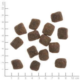 WILDES LAND DOG Soft Lamm - jagnięcina - półwilgotna karma dla psa 5kg
