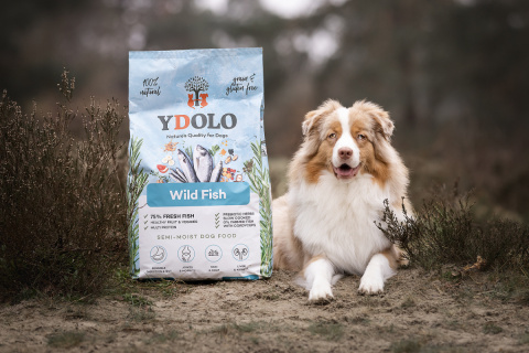 YDOLO Wild Fish - ryby morskie - karma półwilgotna dla psa 10kg YDOLO Wild Fish - ryby morskie - karma półwilgotna dla psa 10kg
