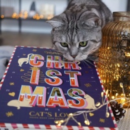 CAT'S LOVE kalendarz adwentowy dla kota z przysmakami liofilizowanymi 48g