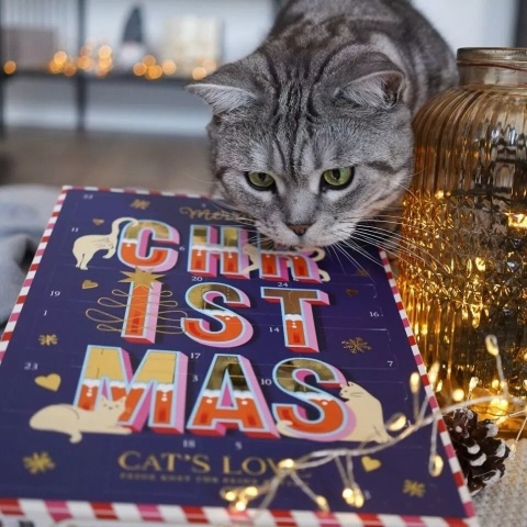 CAT'S LOVE kalendarz adwentowy dla kota z przysmakami liofilizowanymi 48g CAT'S LOVE kalendarz adwentowy dla kota z przysmakami liofilizowanymi 48g