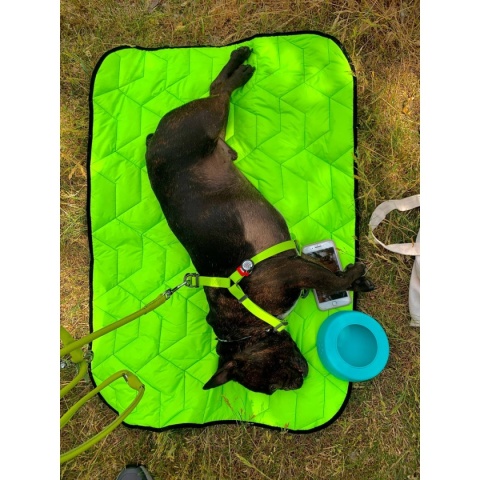 Collar Waudog Miska niewysypka dla psa Silicone 1l -niebieska