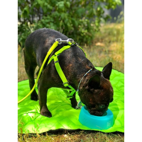 Collar Waudog Miska niewysypka dla psa Silicone 1l -niebieska